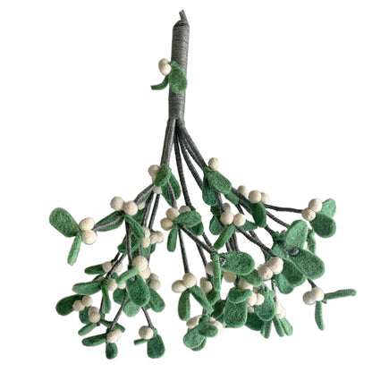 Pale Green Mistletoe Twig
